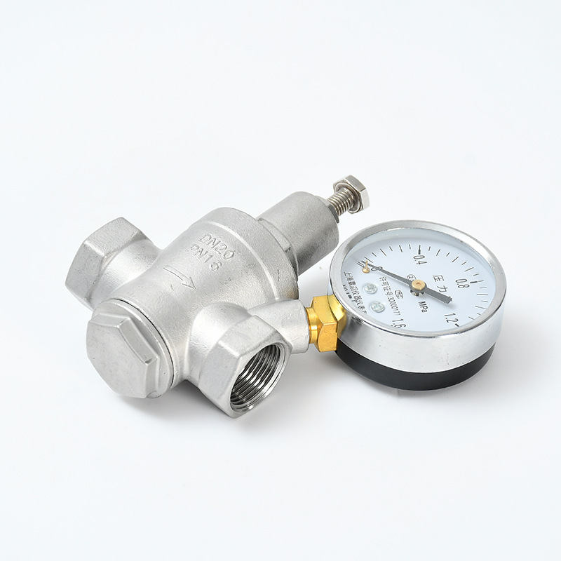 Stainless Steel Valve Body