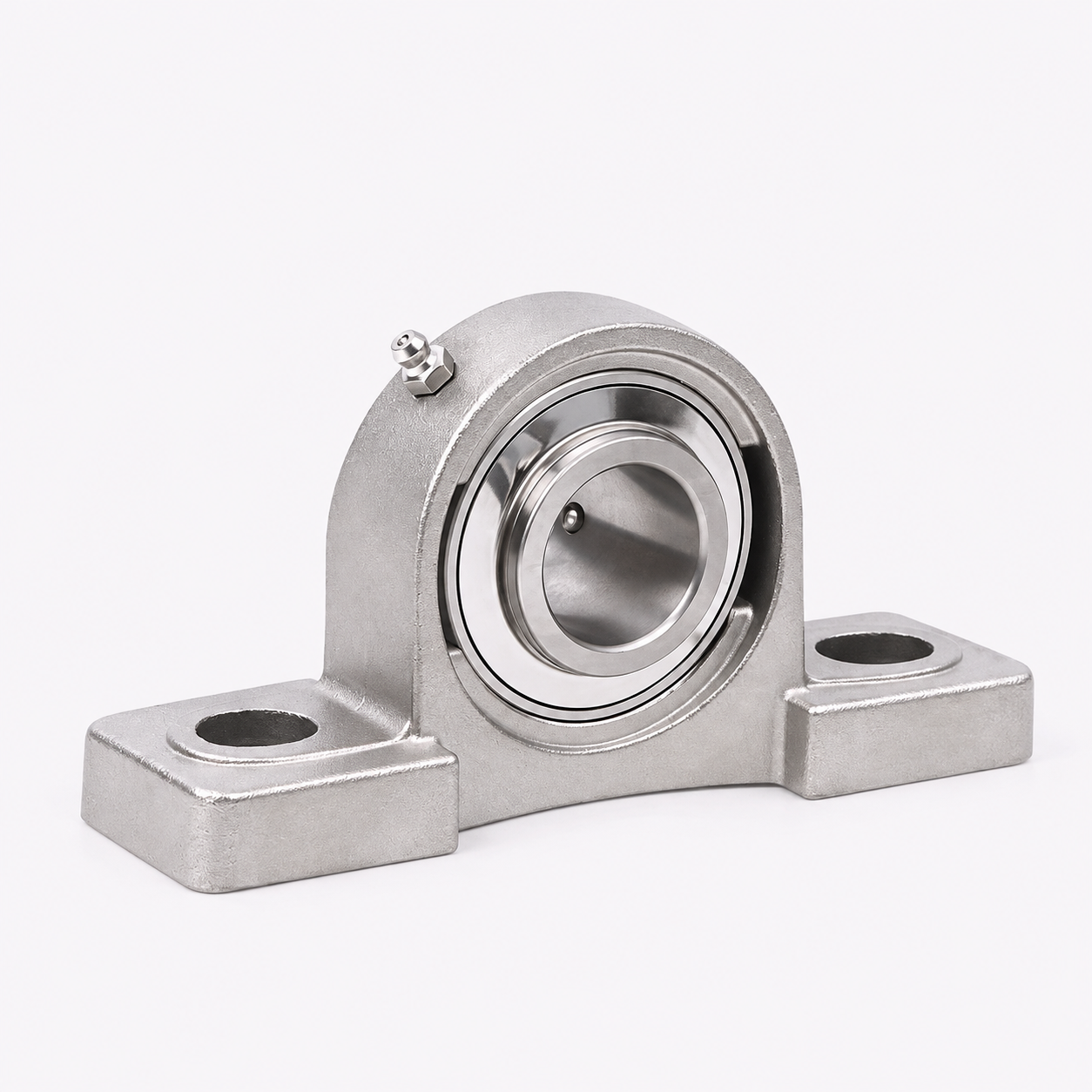 Stainless Steel Bearing Housing