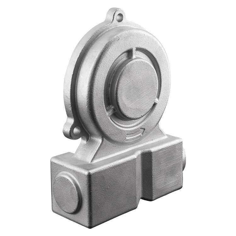 Stainless Steel Pump Housing